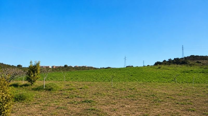 Málaga - Estepona - 20000m2