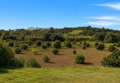 Casa de campo con terreno en venta en Estepona ref: TR232312 foto