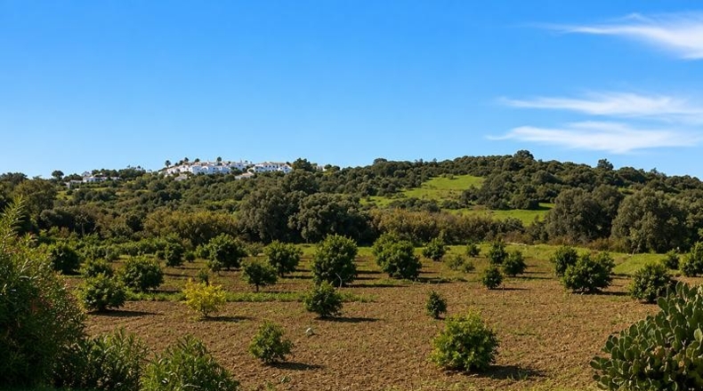 Málaga - Estepona - 20000m2