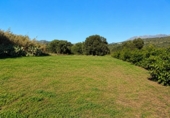 Casa de campo con terreno en venta en Estepona ref: TR232312 foto