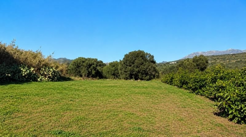 Málaga - Estepona - 20000m2