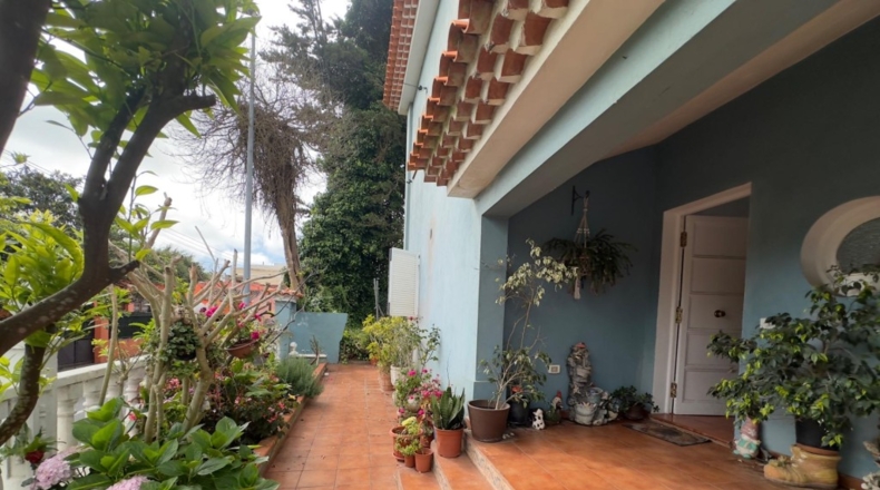Santa Creu de Tenerife - Сан-Кристобаль-де-Ла-Лагуна - 500m2