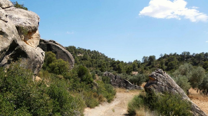 Zaragoza - Maella - 49500m2