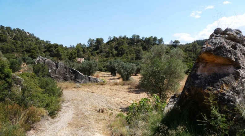 Zaragoza - Maella - 49500m2