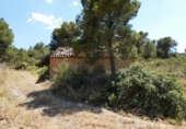 Terreno no urbanizable en venta en Maella ref: TR415323 foto