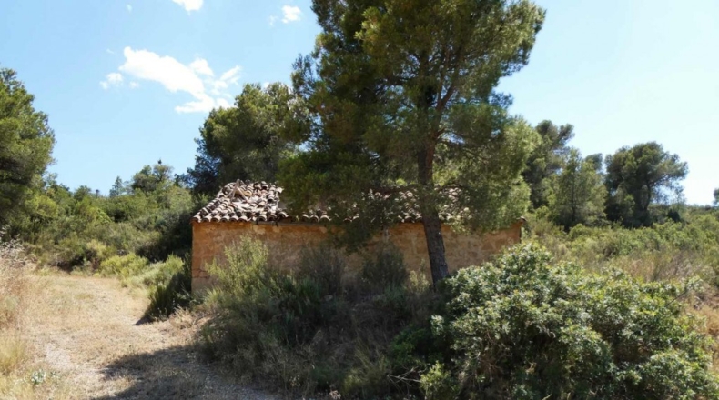 Zaragoza - Maella - 49500m2