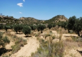 Terreno no urbanizable en venta en Maella ref: TR415323 foto