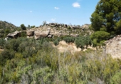 Terreno no urbanizable en venta en Maella ref: TR415323 foto