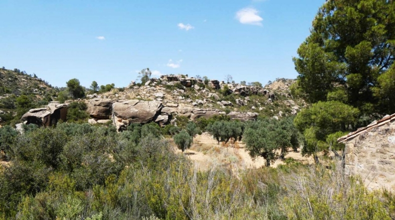 Zaragoza - Maella - 49500m2
