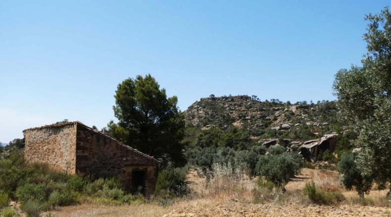 Zaragoza - Maella - 49500m2