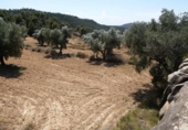 Terreno no urbanizable en venta en Maella ref: TR415323 foto