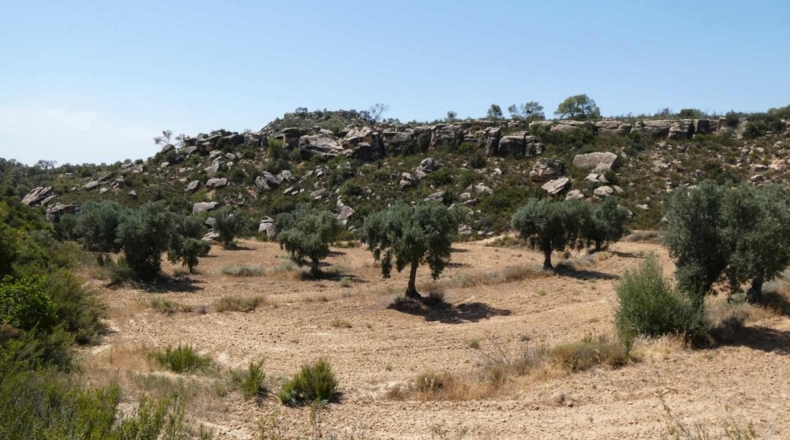 Zaragoza - Maella - 49500m2