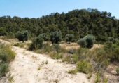 Terreno no urbanizable en venta en Maella ref: TR415323 foto