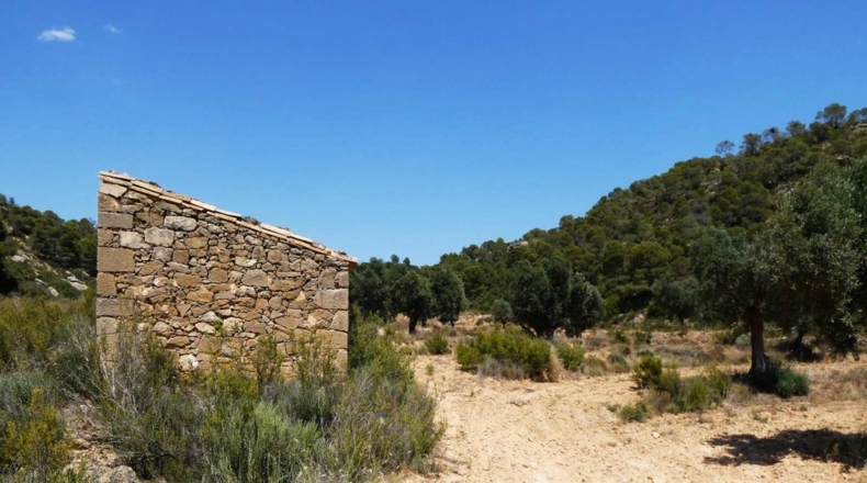 Zaragoza - Maella - 49500m2