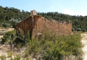 Terreno no urbanizable en venta en Maella ref: TR415323 foto