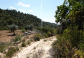 Terreno no urbanizable en venta en Maella ref: TR415323 foto