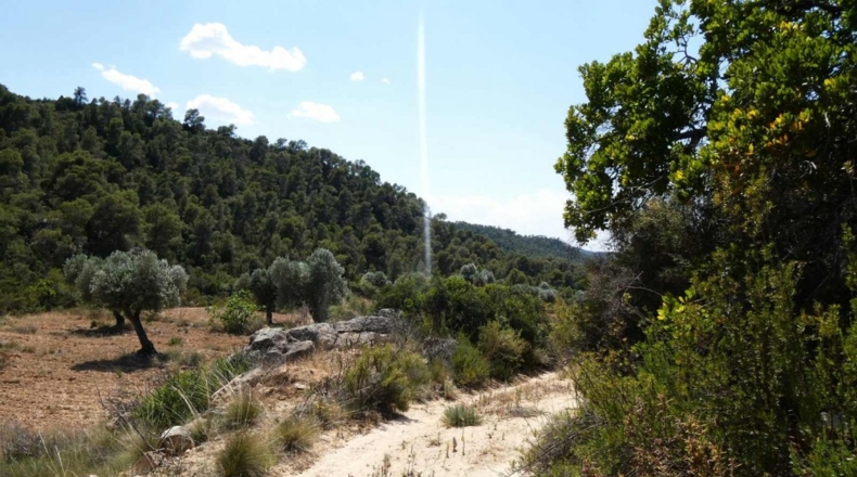 Zaragoza - Maella - 49500m2