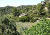 Terreno no urbanizable en venta en Arens de Lledó ref: TR415324 foto