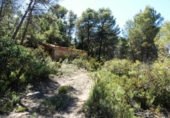 Terreno no urbanizable en venta en Arens de Lledó ref: TR415324 foto