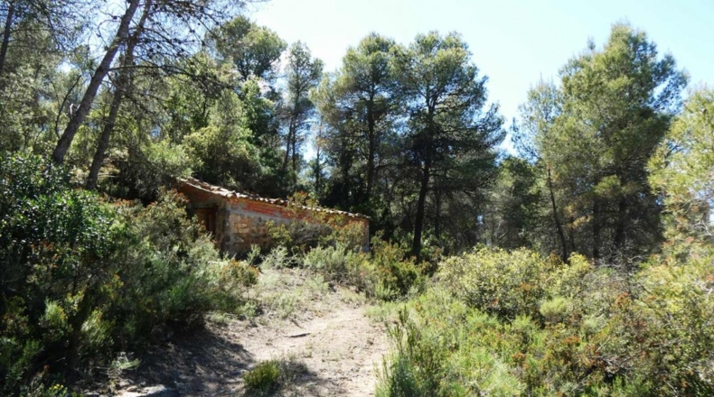 Teruel - Arens de Lledó - 113000m2