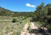 Terreno no urbanizable en venta en Arens de Lledó ref: TR415324 foto