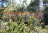 Terreno no urbanizable en venta en Arens de Lledó ref: TR415324 foto