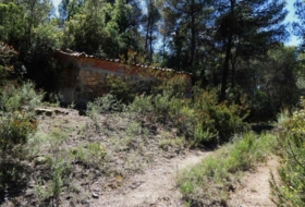Foto 8