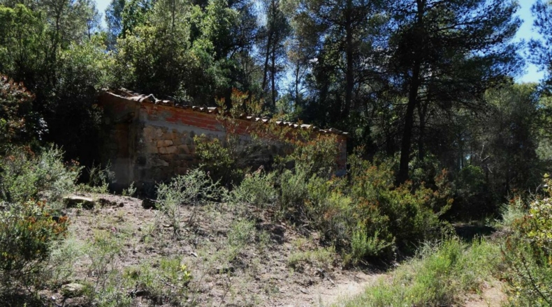 Teruel - Arens de Lledó - 113000m2