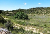 Terreno no urbanizable en venta en Arens de Lledó ref: TR415324 foto