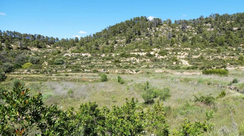 Teruel - Arens de Lledó - 113000m2