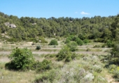 Terreno no urbanizable en venta en Arens de Lledó ref: TR415324 foto
