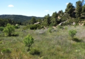 Terreno no urbanizable en venta en Arens de Lledó ref: TR415324 foto