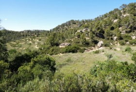 Foto 15