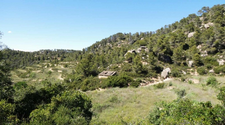 Teruel - Arens de Lledó - 113000m2