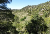 Terreno no urbanizable en venta en Arens de Lledó ref: TR415324 foto