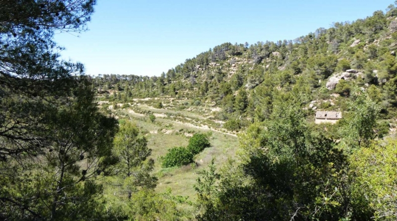 Teruel - Arens de Lledó - 113000m2