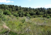 Terreno no urbanizable en venta en Arens de Lledó ref: TR415324 foto