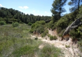Terreno no urbanizable en venta en Arens de Lledó ref: TR415324 foto
