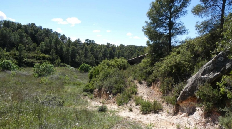 Teruel - Arens de Lledó - 113000m2