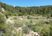 Terreno no urbanizable en venta en Arens de Lledó ref: TR415324 foto