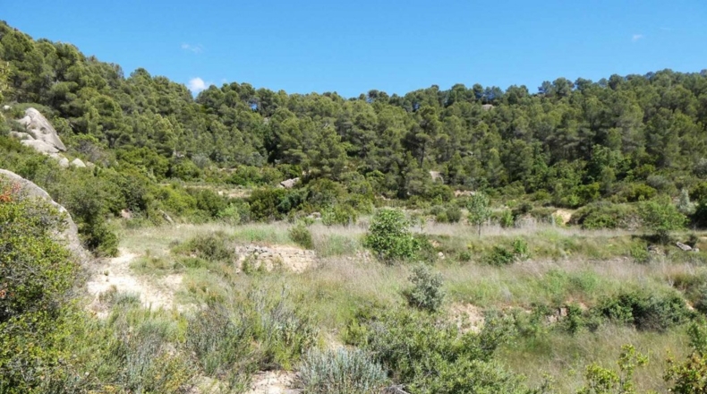 Teruel - Arens de Lledó - 113000m2