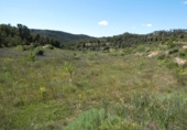 Terreno no urbanizable en venta en Arens de Lledó ref: TR415324 foto