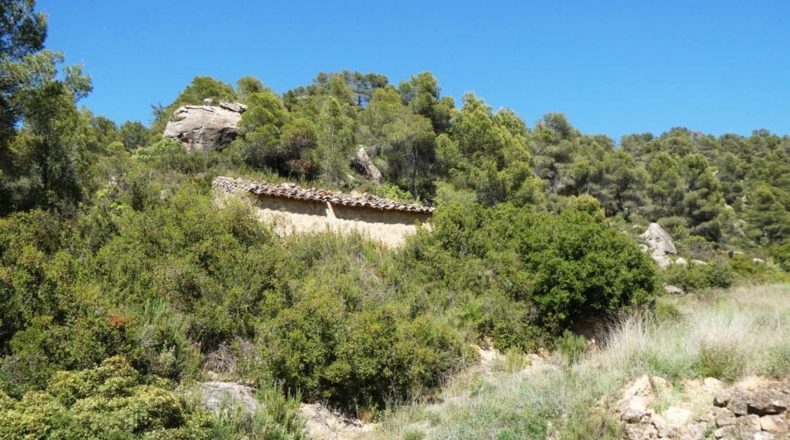 Teruel - Arens de Lledó - 113000m2