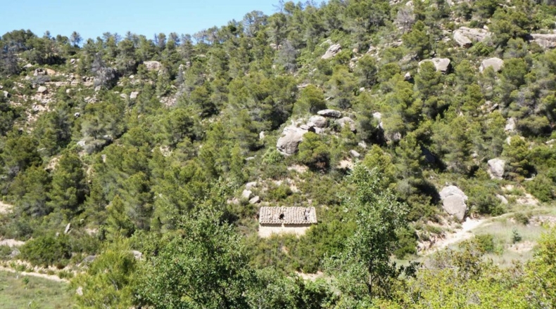 Teruel - Arens de Lledó - 113000m2