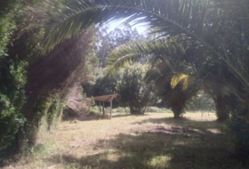 Cedeira 1416&nbsp;m²