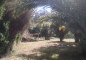 Masía con terreno en venta en Cedeira ref: TR415325 foto