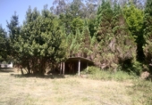 Masía con terreno en venta en Cedeira ref: TR415325 foto