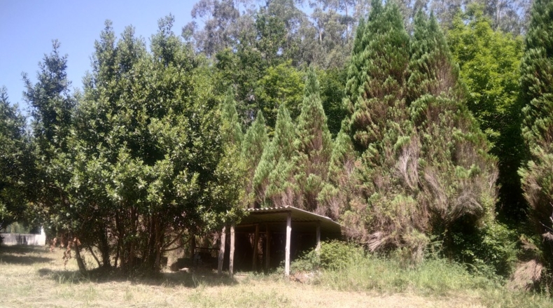 La Corunya - Cedeira - 1416m2