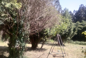 Cedeira 1416&nbsp;m²