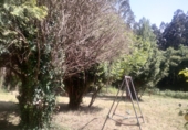 Masía con terreno en venta en Cedeira ref: TR415325 foto